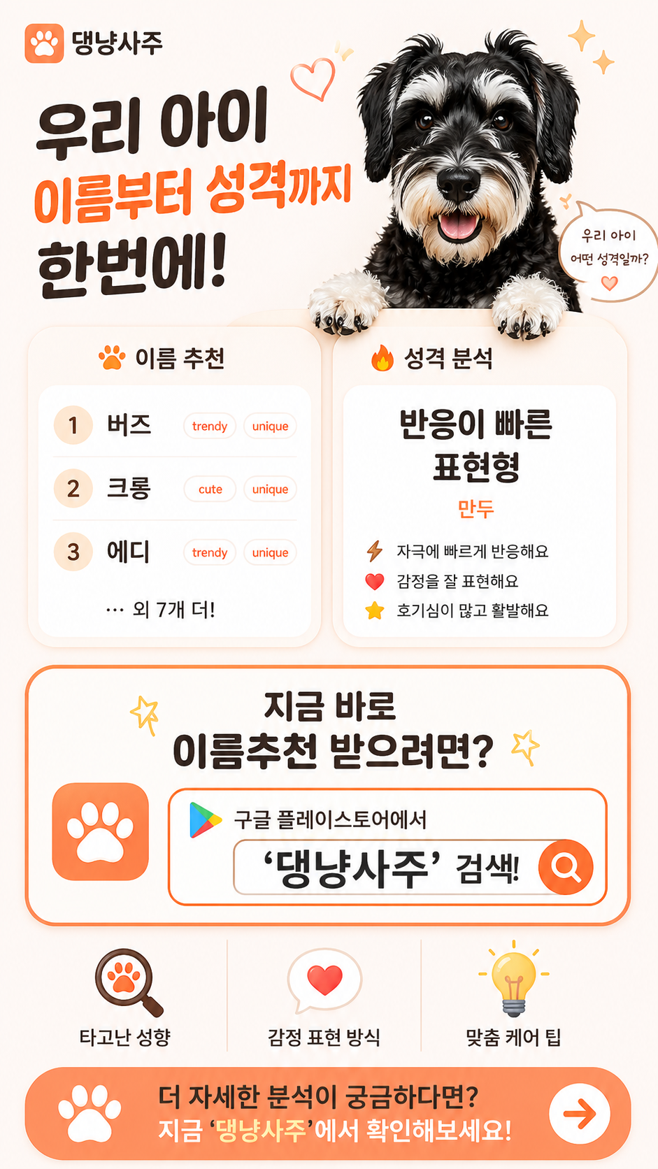 댕냥사주 메인 소개 이미지